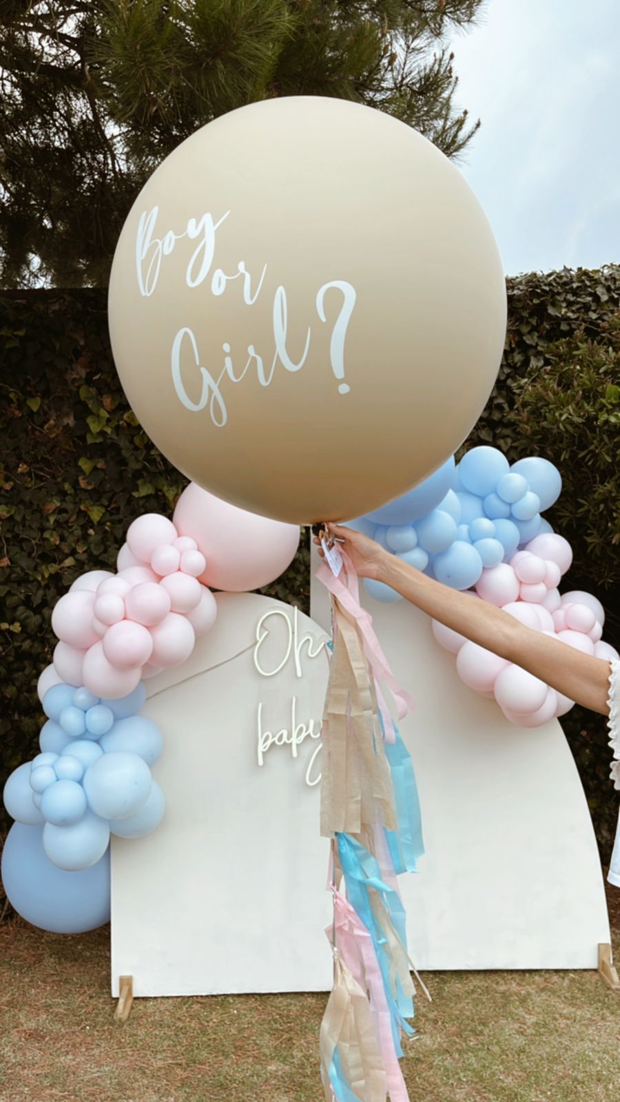 Let's Fiesta on Instagram: It's girl 👧 humo gender reveal 💨 información  por DM 💌 envíos todos los días 🛵 consulta nuestras zonas y horarios de  cobertura 📲 whatsapp 70046415