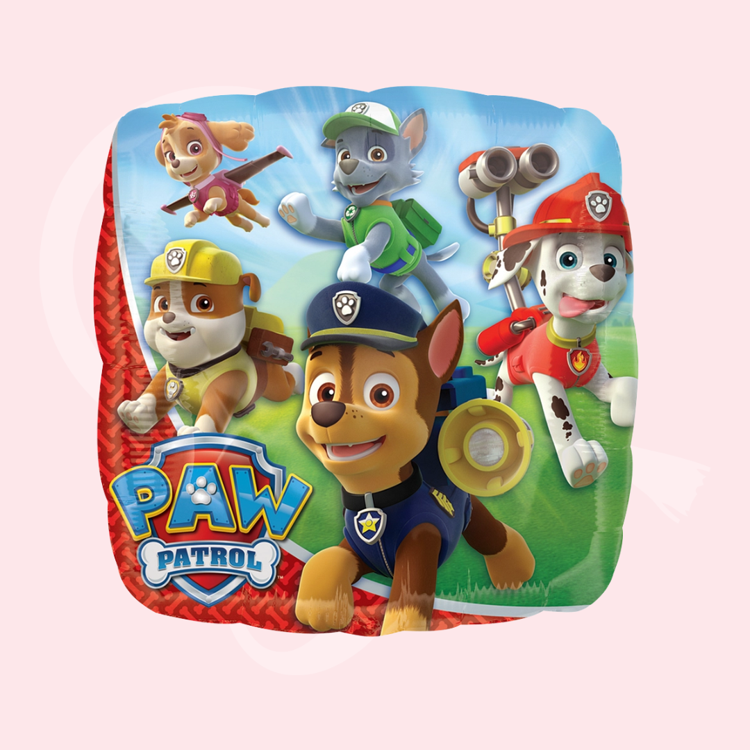 Paw patrol