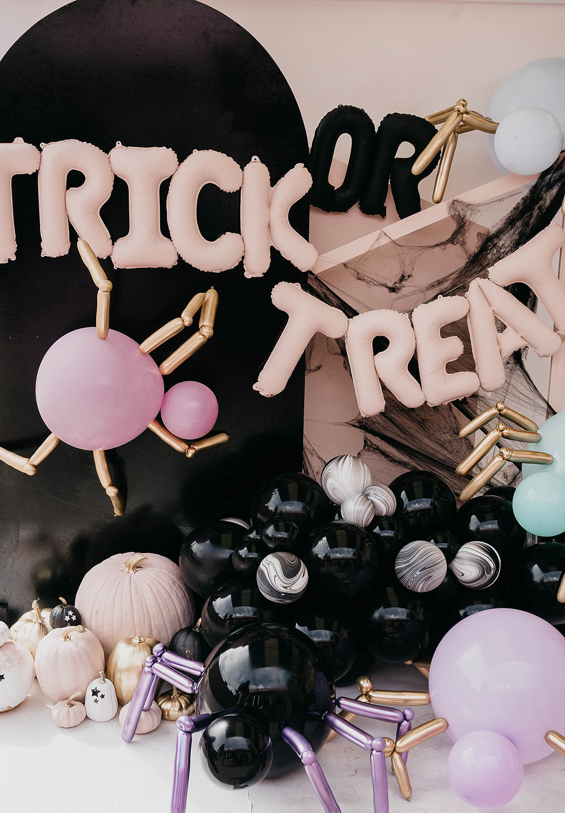 Araña "Dulce Sorpresa"