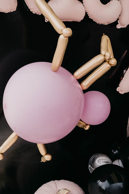 Araña "Dulce Sorpresa"