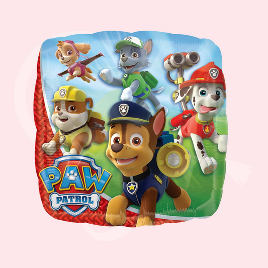 Paw patrol